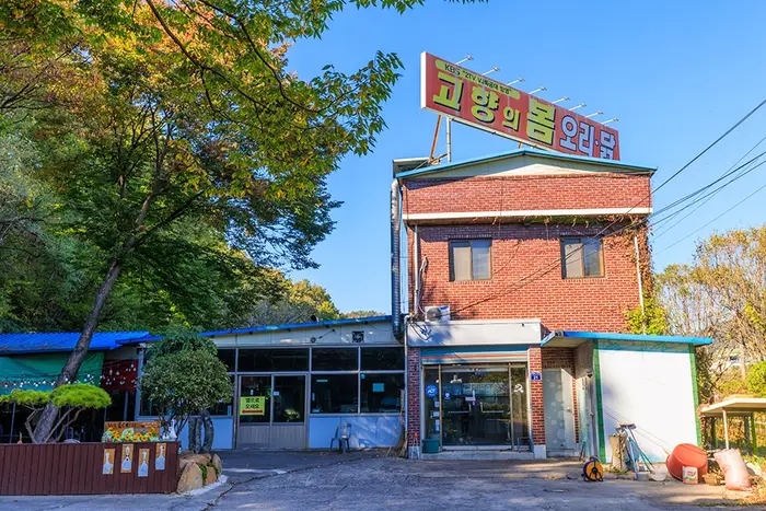 고향의봄 · 음식점
