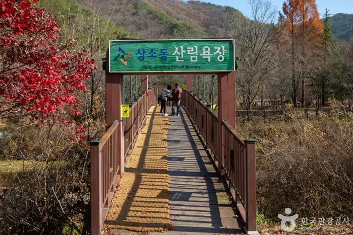 상소동 산림욕장 · 관광지