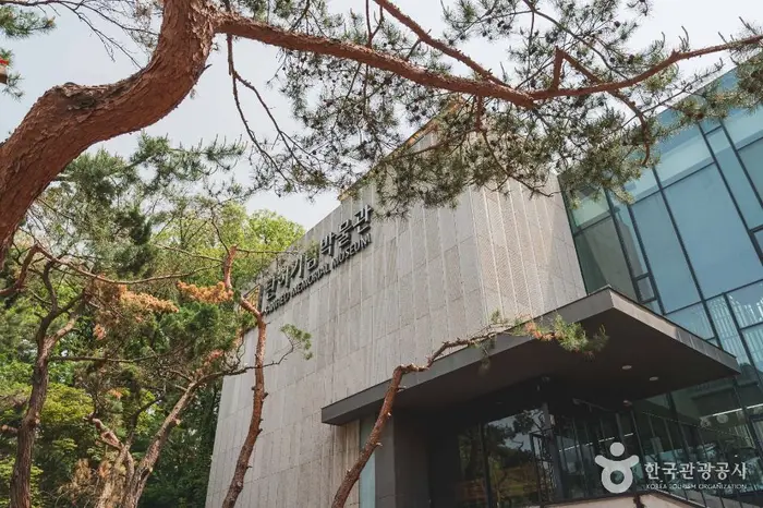 탄허기념불교박물관 · 문화시설