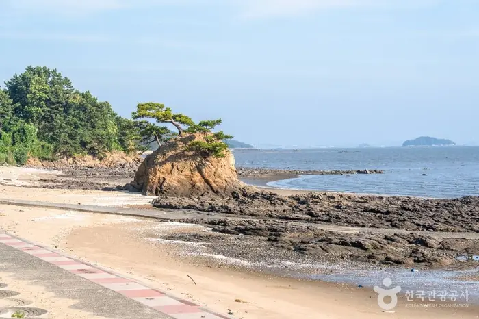 비인해변 · 관광지