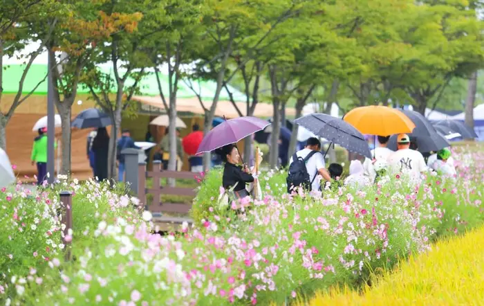 김제지평선축제 포스터 사진 7