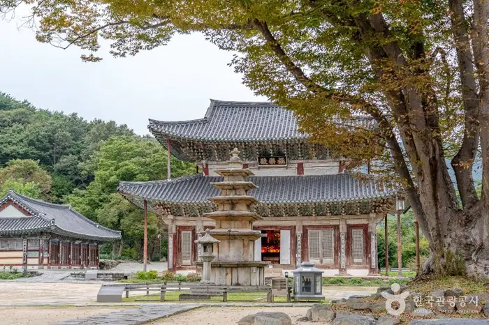 무량사(부여) · 관광지