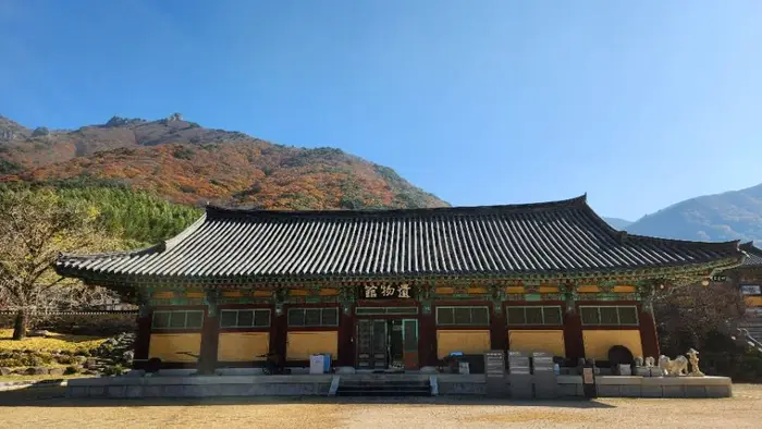 표충사호국박물관 · 문화시설