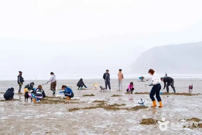 병술만어촌체험마을 · 관광지