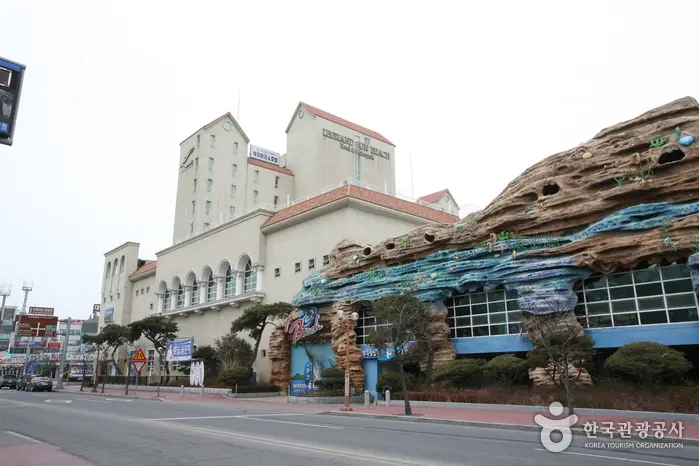 제이에프케이호텔 마스타대천 (JFK호텔) · 숙박