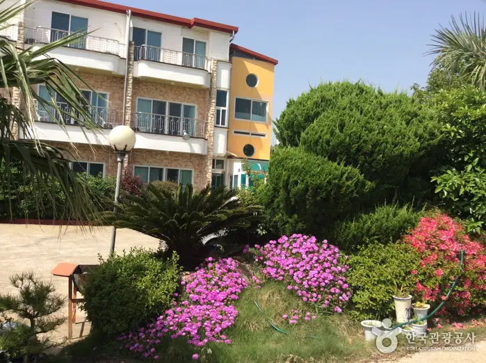 제주 추억여행 · 숙박