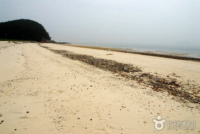 호도해수욕장 · 관광지