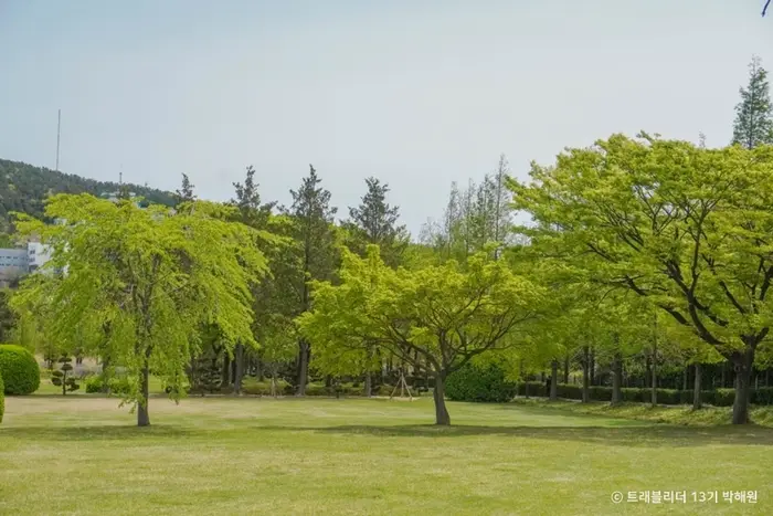 대연수목전시원 · 관광지