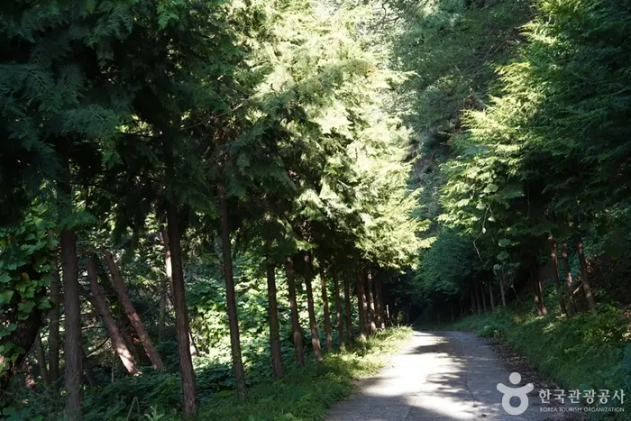 미숭산자연휴양림 · 관광지