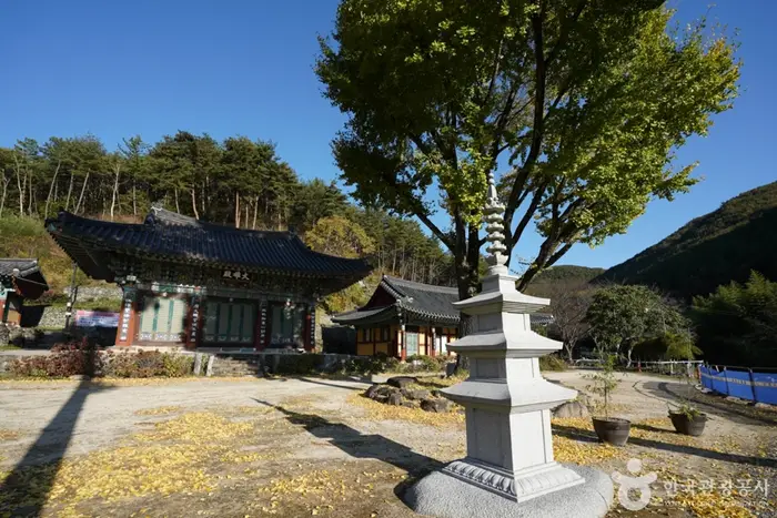 응석사(진주) · 관광지