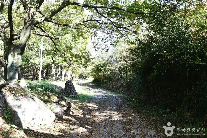 고산 · 관광지