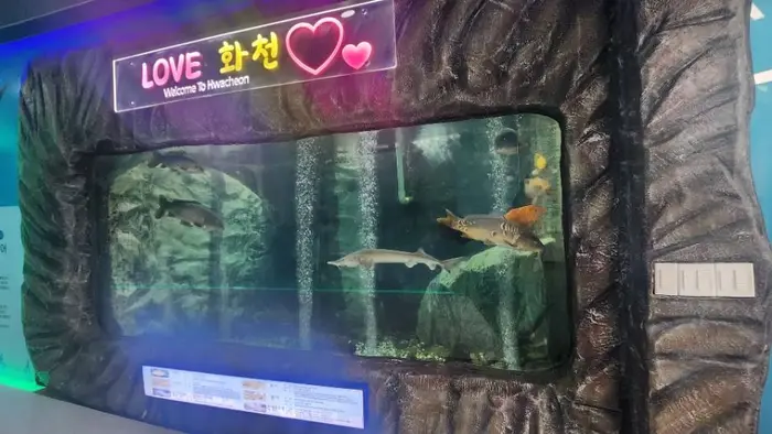 토속어류생태체험관 · 관광지