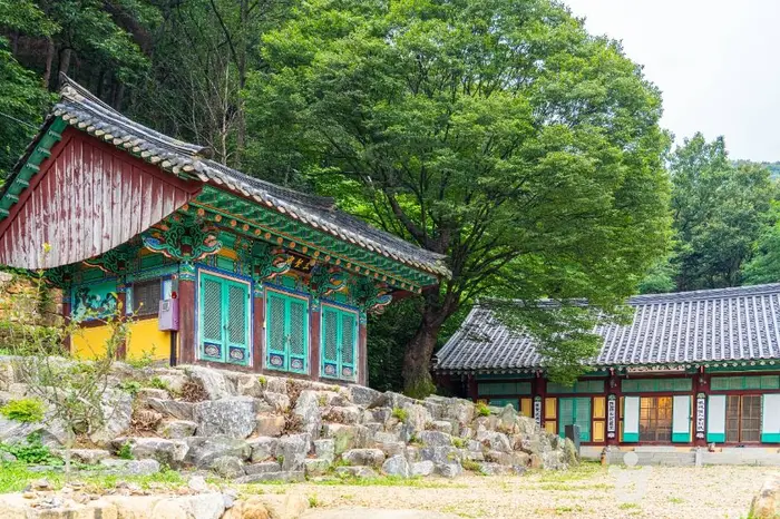 청원사(안성) · 관광지