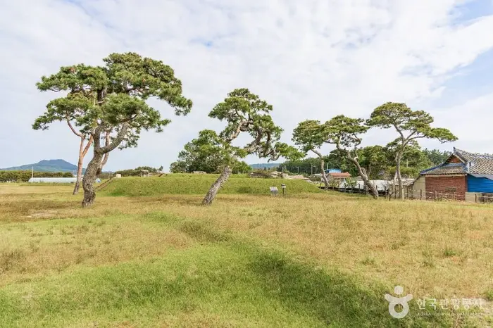익산제석사지 · 관광지