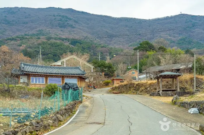 화순 수만리들국화마을 · 관광지