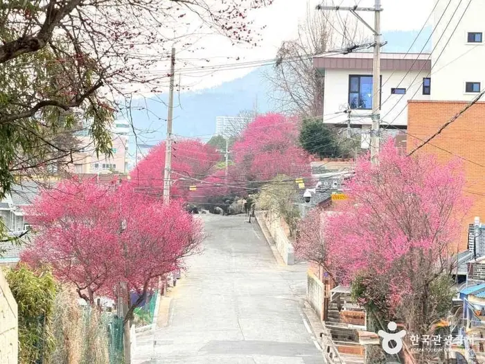 탐매마을 · 관광지