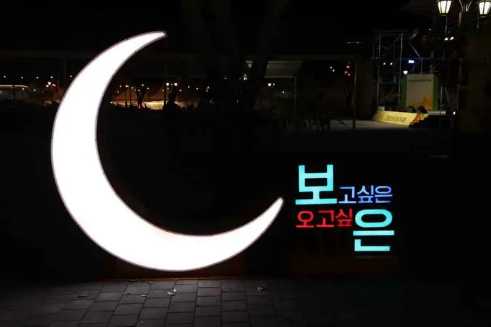 보은대추 축제 포스터 사진 5
