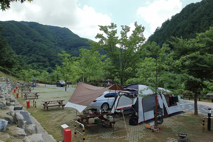 좌구산오토캠핑장 · 레포츠