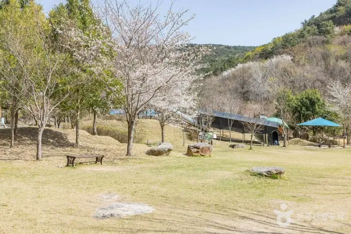 기적의놀이터 4호 올라올라 · 관광지