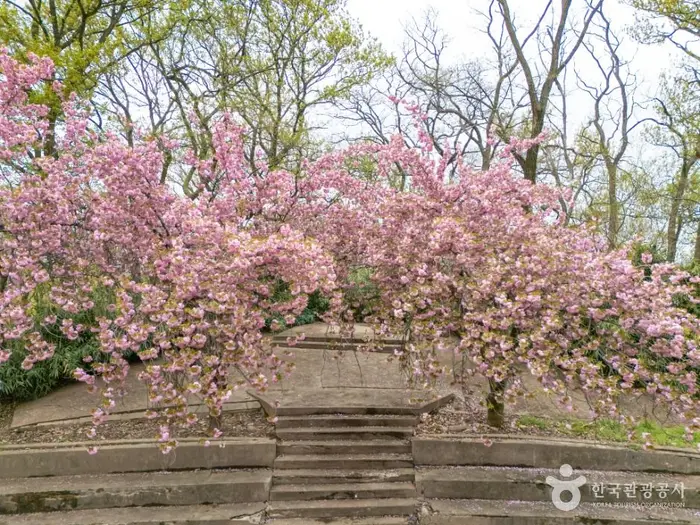 화원동산 · 관광지