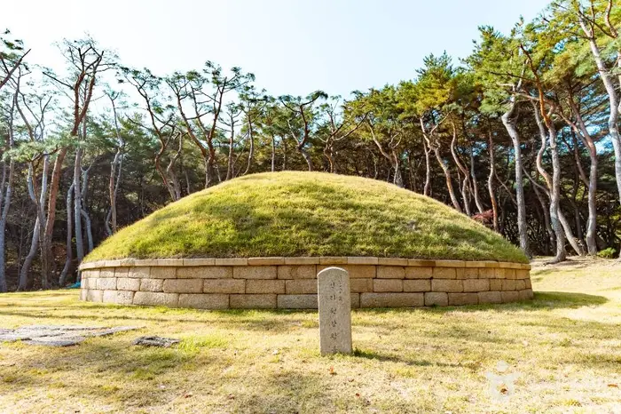 경주 헌강왕릉 · 관광지
