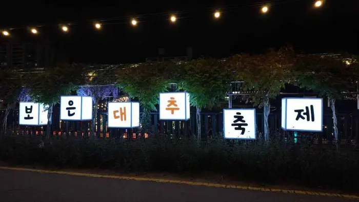 보은대추 축제 포스터 사진 6