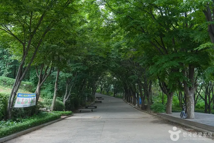 계양산 둘레길 · 레포츠