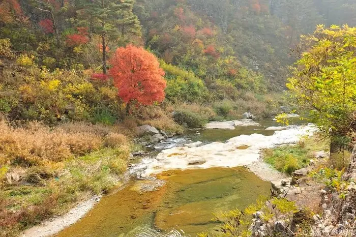 소금강 (강원고생대 국가지질공원) · 관광지