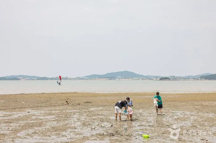 홀통유원지·홀통해변 · 관광지