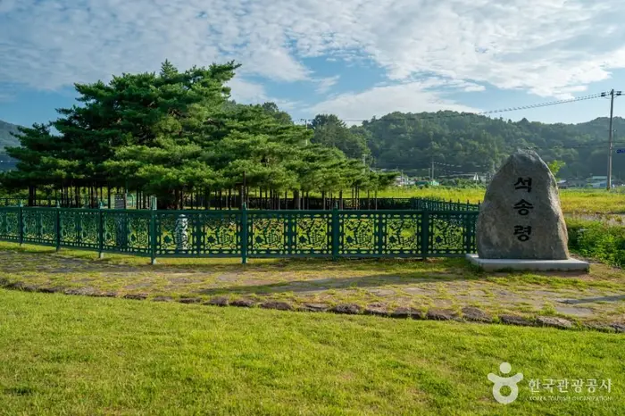 예천 천향리 석송령 · 관광지