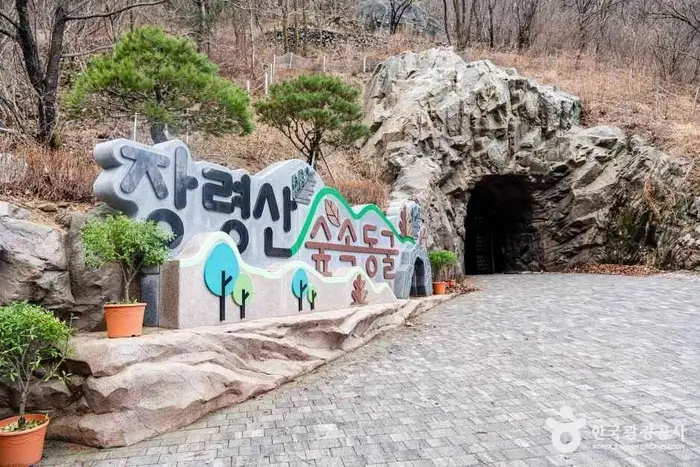 장령산자연휴양림 숲속동굴 · 관광지