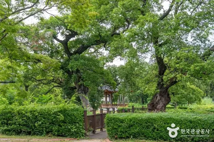 유당공원 · 관광지