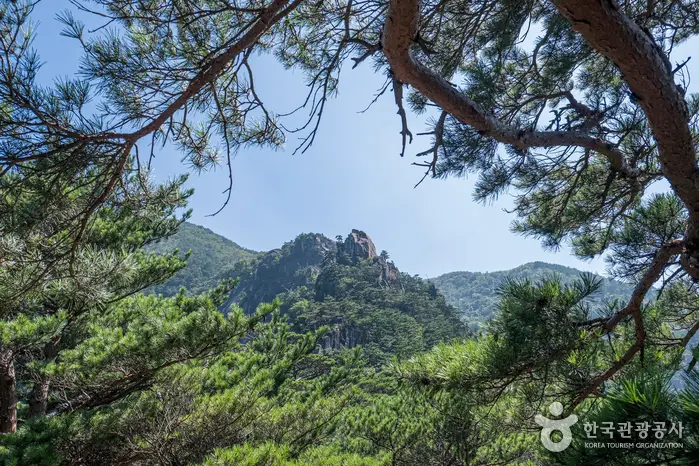두타산 · 관광지