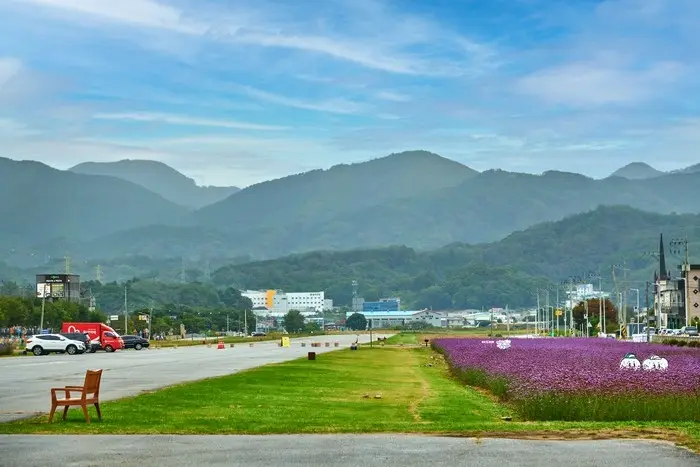 제천비행장 · 관광지
