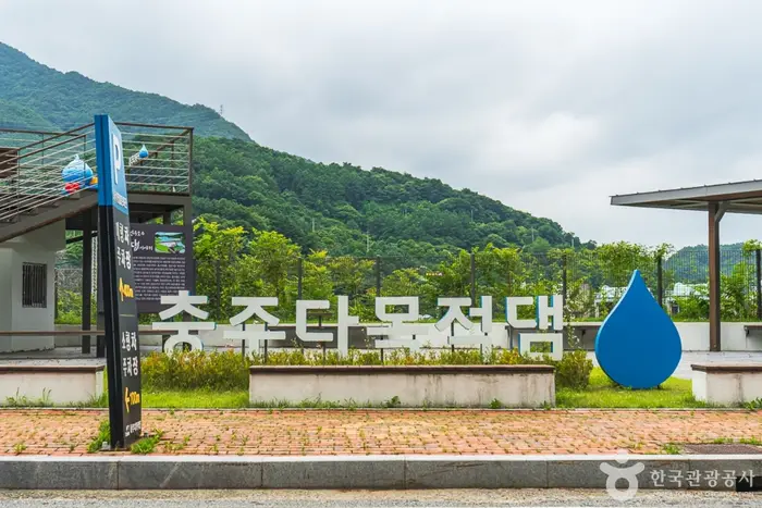 충주댐 벚꽃길 · 관광지