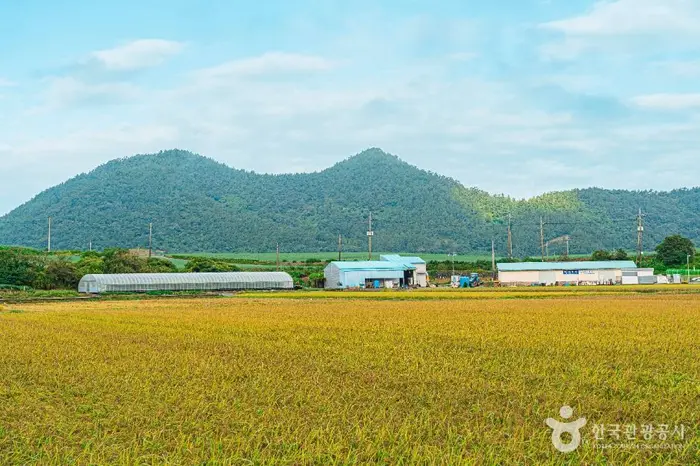 진도 소포검정쌀마을 · 관광지