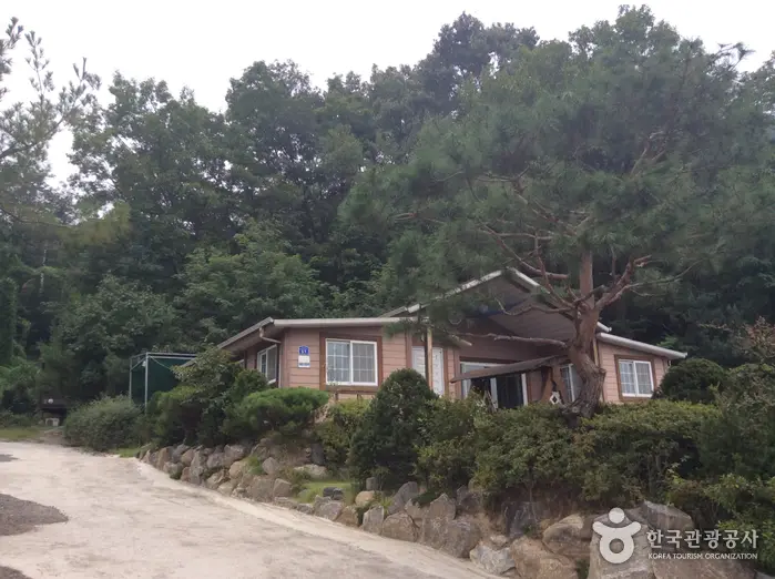 호수위의 하루 · 숙박