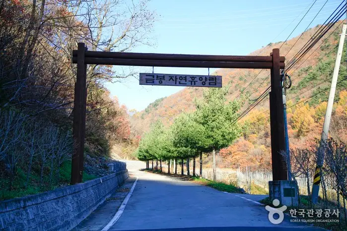 금봉자연휴양림 · 관광지