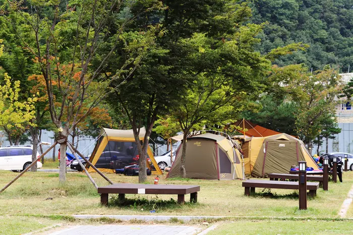 대가야역사테마관광지캠핑장 · 레포츠