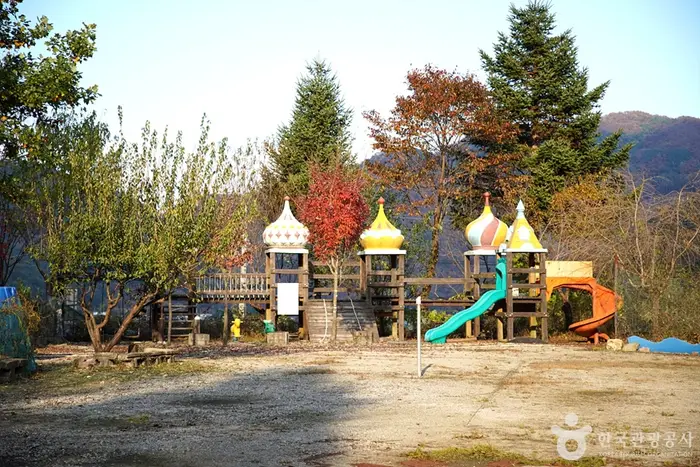 알프스벨리 사계절썰매장 · 레포츠