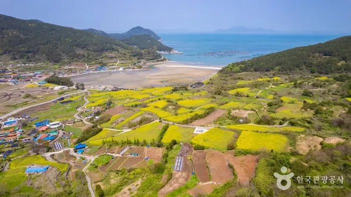청산도 · 관광지