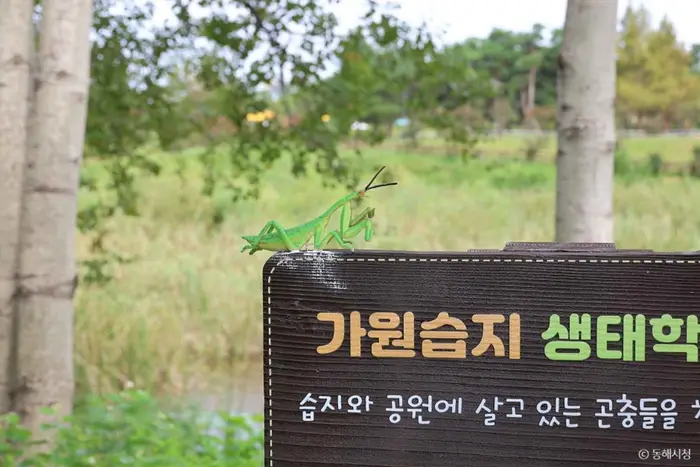 가원습지 생태자연공원 · 관광지