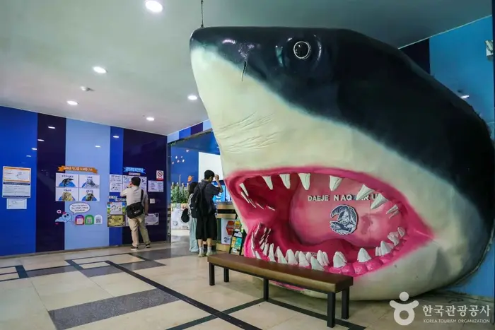 대전아쿠아리움 · 문화시설