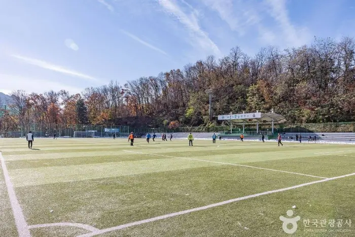 관악구민운동장 · 레포츠