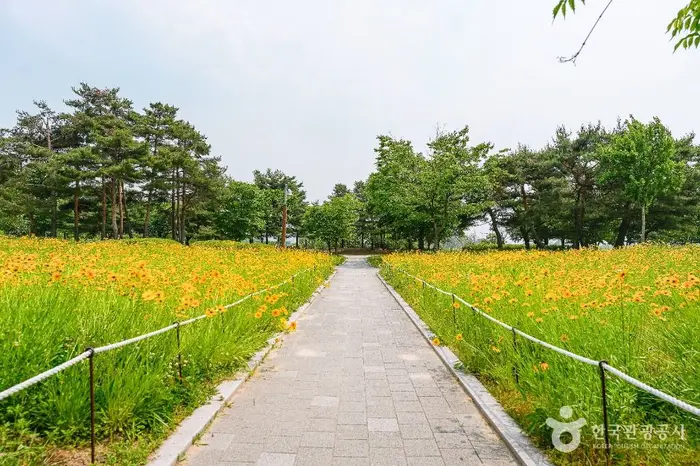 서호공원 · 관광지