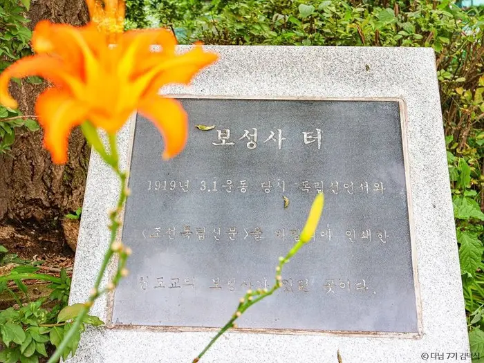 보성사터 · 관광지