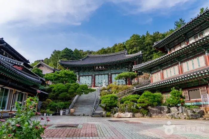신광사(세종) · 관광지