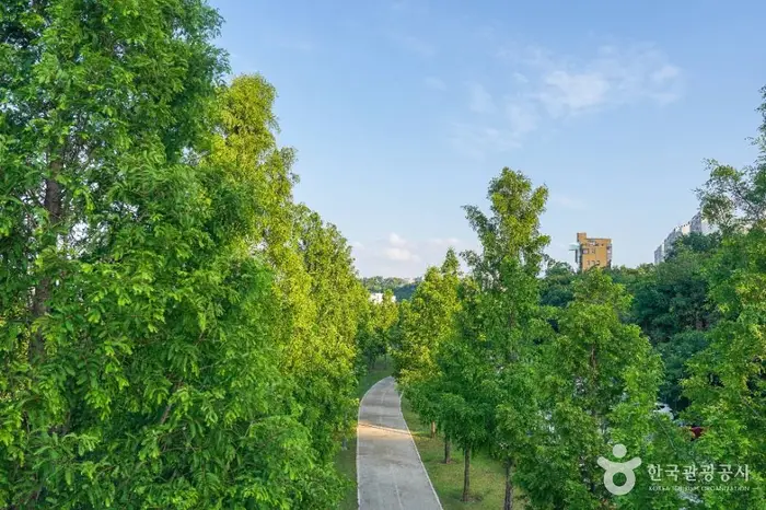 공항교강변공원 · 관광지