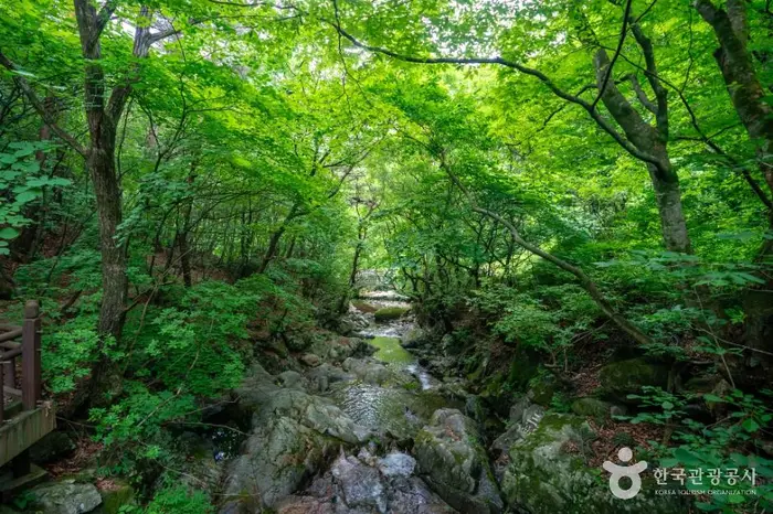 죽계구곡 · 관광지