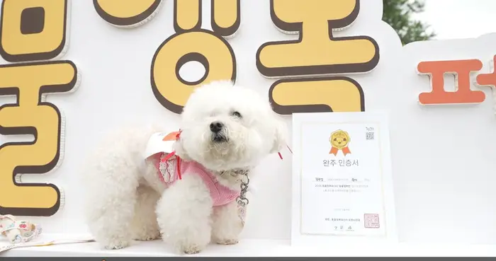 동물행복페스타 포스터 사진 3